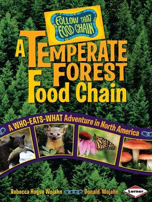 cover image of A Temperate Forest Food Chain